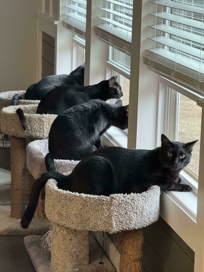 On The Hunt