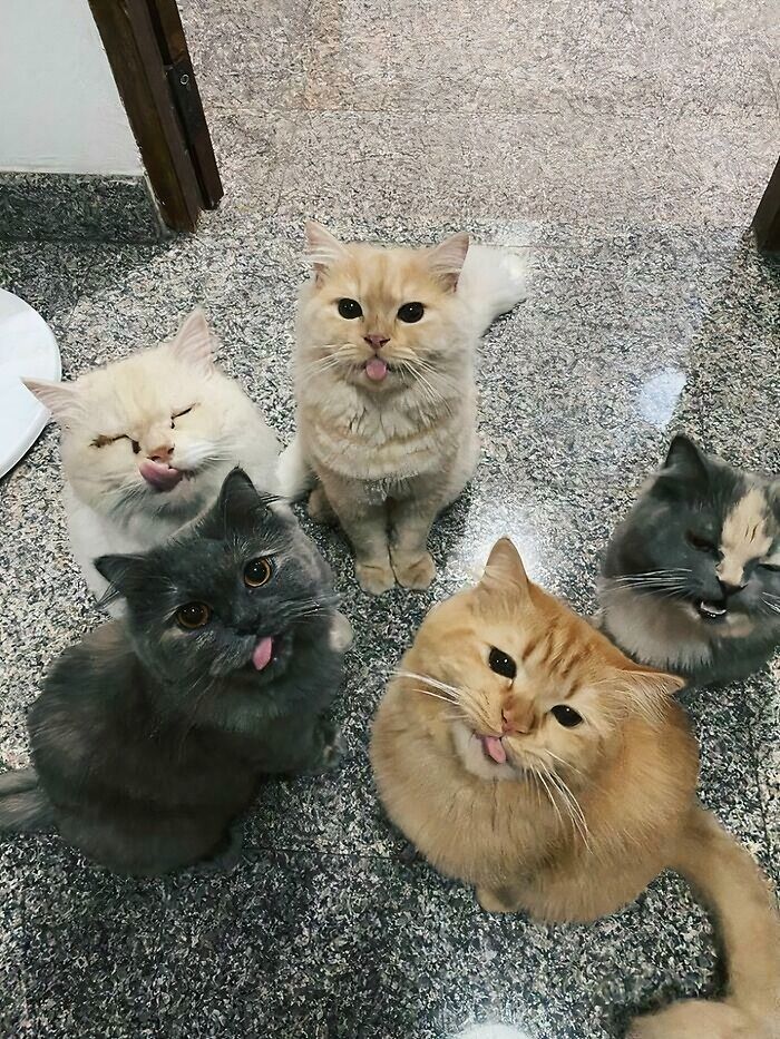 We're In A Meeting. Stop Spying On Us