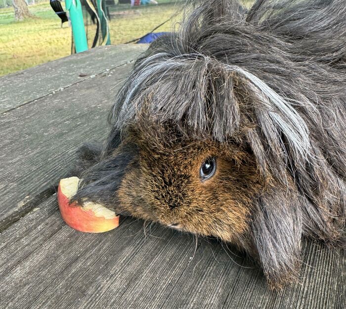 "Please Tell My Parents They’re Terrible At Haircuts"